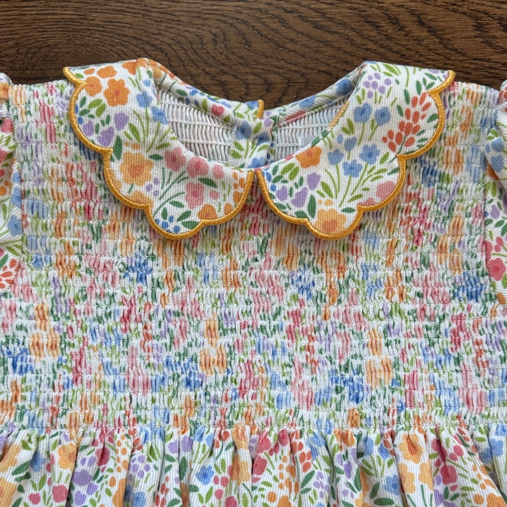 Cecil And Lou Floral Print Smocked Corduroy Dress New And Never Worn - Picture 3 of 14